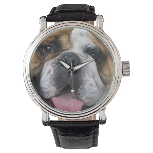 Relógio Um bulldog inglês na Bélgica. (Frente)