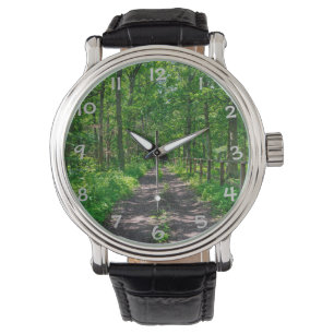 Relógio Um caminho na floresta verde