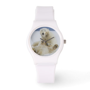 Relógio Uma fêmea de urso polar e seu filhote brincam na n