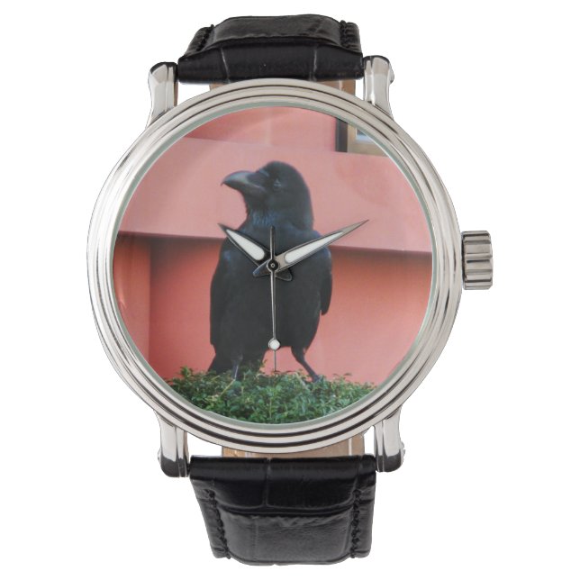 Relógio Uma Selva De Grande Porte Uma Perca Numa Árvore Nu (Frente)