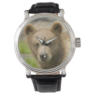 Relógio Urso bonito