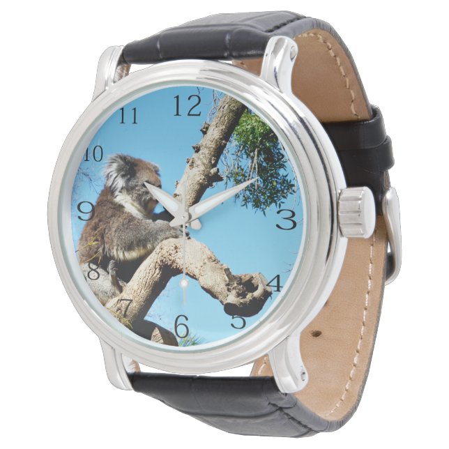 Relógio Urso De Koala Na Árvore Do Pinheiro Antigo, (Angular)