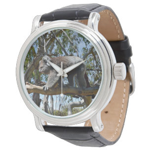 Relógio Urso Koala Australiano Grande,