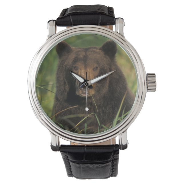 Relógio urso pardo, Ursus arctos, urso cinzento, Ursus 9 (Frente)