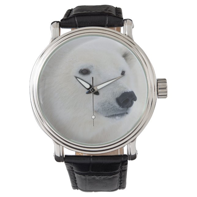 Relógio Urso Polar Churchill (Frente)