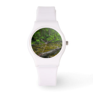 Relógio Vapor Na Floresta, O Knysna-Amatole Montane