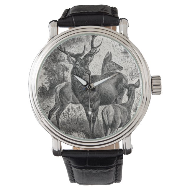 Relógio Vintage 1800s Red Deer Illustration Stag Doe Fawn (Frente)
