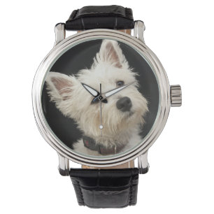 Relógio Westie (terrier ocidental das montanhas) com colar