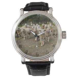 Relógio White Young Wooly Sheep,