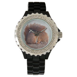Relógio Yoga Squirrel Watch