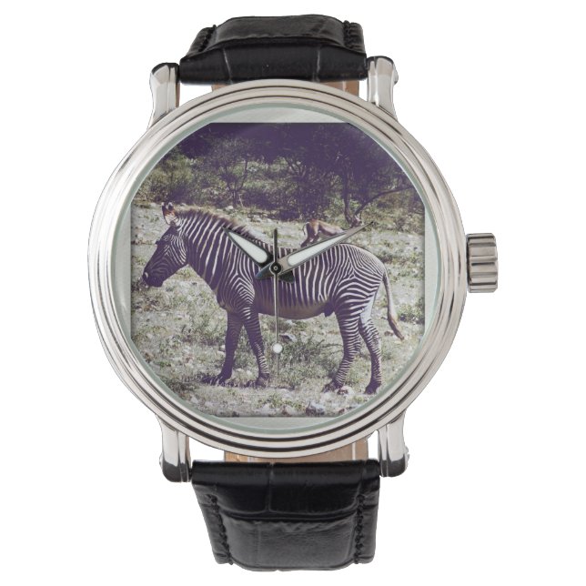 Relógio Zebra no Quênia (Frente)