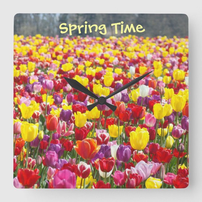 Relógios de parede da Primavera Flores de Tulipa D (Frente)