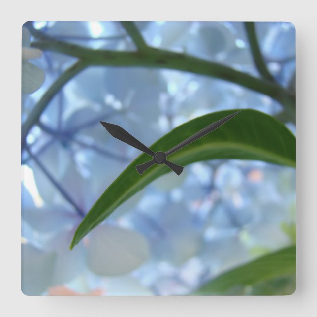 Relógios de Parede de Flores de Hortênsia Azul Des (Frente)