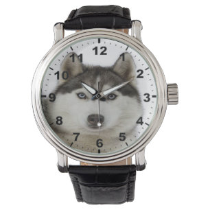 Relógios legal, divertidos, divertidos e fofos