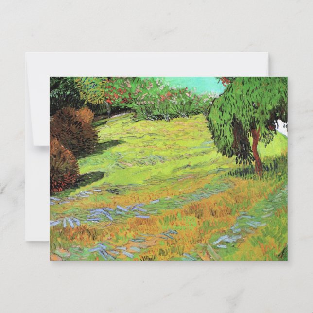 Relvado Ensolarado em um Parque Público por Vincen (Frente)