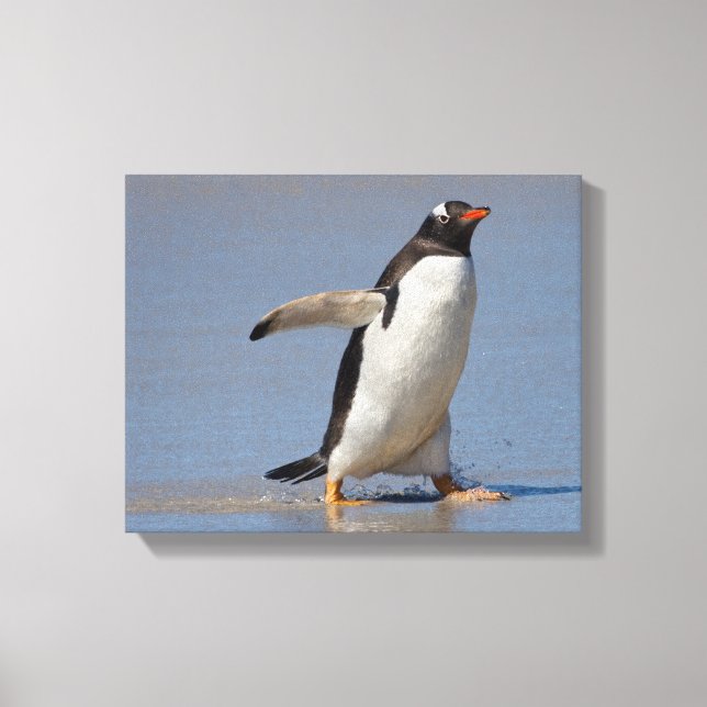Remando Canvas Envolvido Gentoo (Frente)