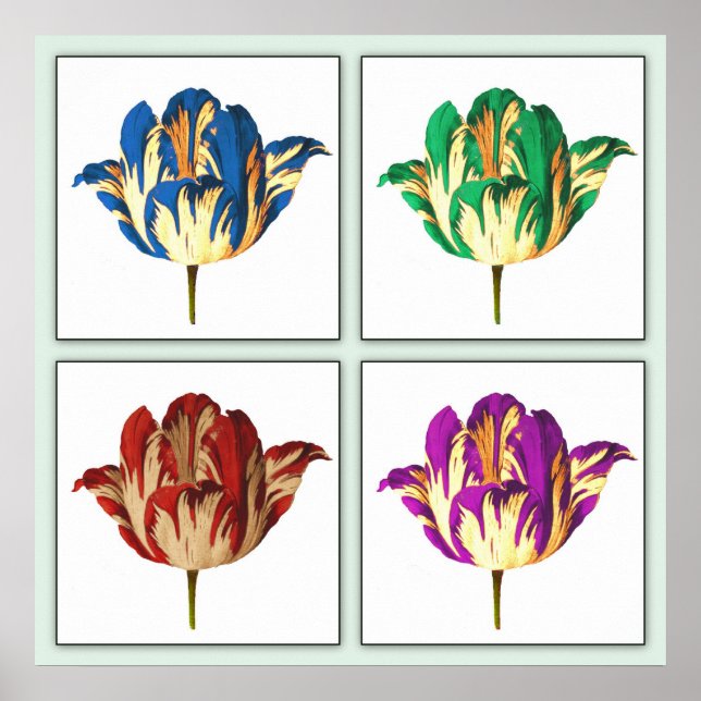 Rembrandt Tulip Pop Art Impressão (Frente)