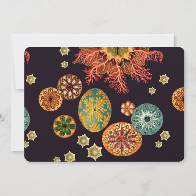 Remix do Esguicho do Mar (Frente)