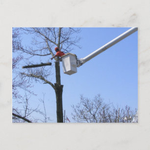 Remoção de Árvore ~ cartão postal