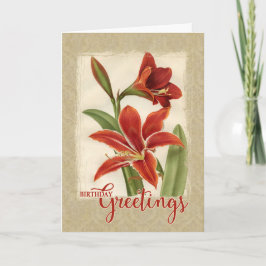 Reprodução de cartões de aniversários Lily Vintage