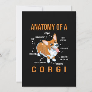 Reserve A Data Anatomia de um Cachorro Engraçado Corgi