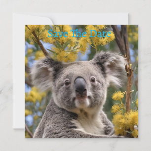 Reserve A Data Árvore De Bovinos Flor Amarelo Com Uma Koala,
