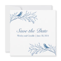 Bluejays Elegantes em uma ramificação