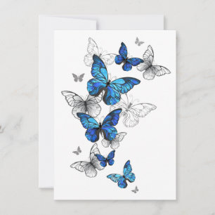 Reserve A Data Borboletas Azuis Morpho
