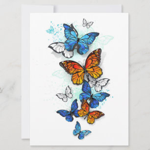 Reserve A Data Borboletas voadoras Morpho e Monarca