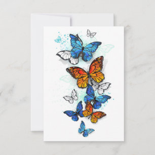 Reserve A Data Borboletas Voadoras Morpho e Monarca