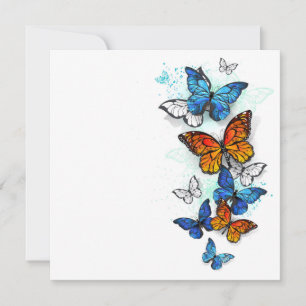 Reserve A Data Borboletas voadoras Morpho e Monarca