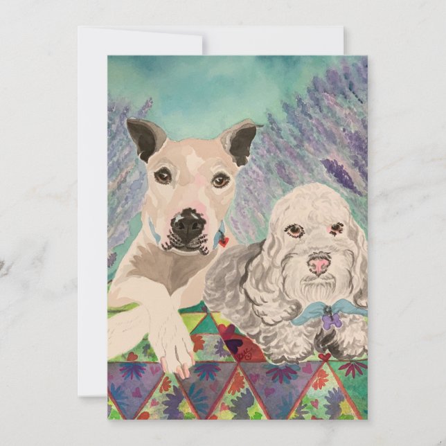 Reserve A Data Caninos (Frente)