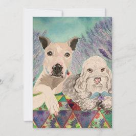 Reserve A Data Caninos