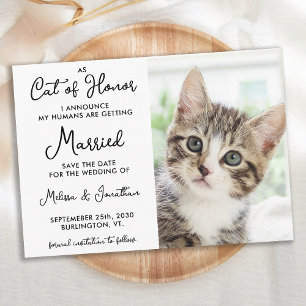 Reserve A Data Casamento Casual de Foto Pet Personalizada do Cat 