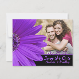 Reserve A Data Casamento com Foto de Flor Roxo Gerbera Daisy