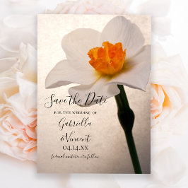 Reserve A Data Casamento de Daffodil Primavera branco Salve a dat