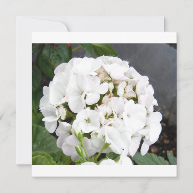 Reserve A Data Casamento de Flores Brancas Espelhantes (Frente)