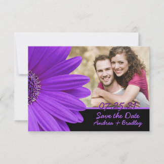 Reserve A Data Casamento de Foto Púrpura Gerbera Daisy Black