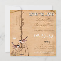 Casamento de Gaiola de Pássaro Damask Foto Rustica