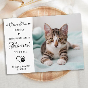 Reserve A Data  Casamento de Gato de Foto Pet Personalizada do Ca