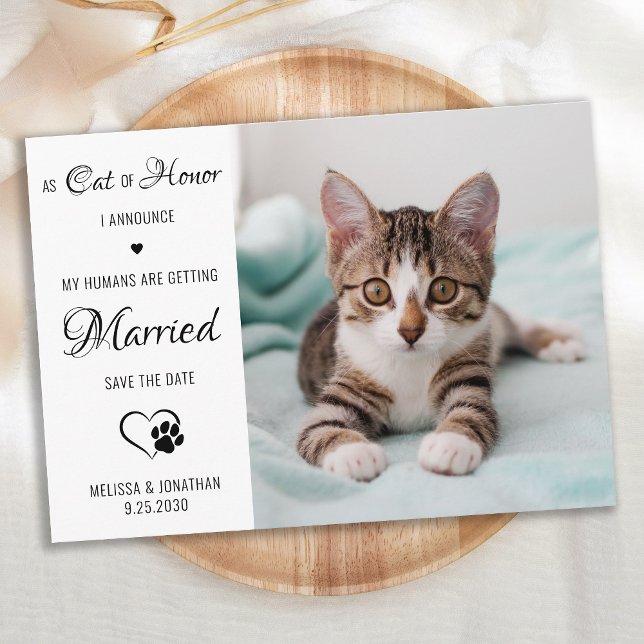 Reserve A Data Casamento de Gato de Foto Pet Personalizada do Cat (Criador carregado)