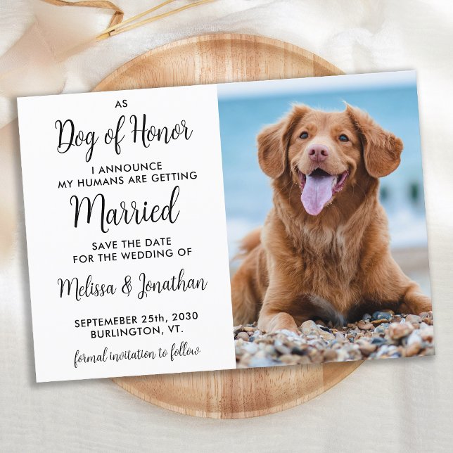 Reserve A Data Casamento De Pet Personalizado De Cão De Honra Mod (Criador carregado)