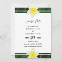 Casamento de Yellow Frangipani Plumeria Salvar a D