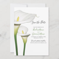 Casamento dos Lírios Elegantes Calla Brancos Salva