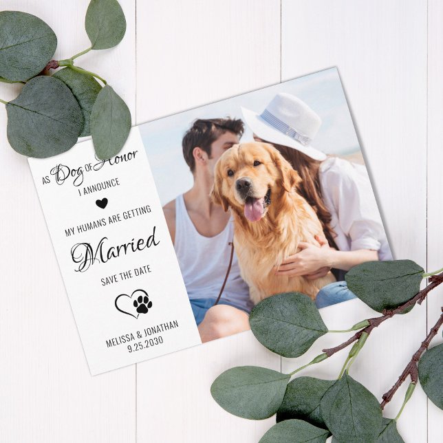 Reserve A Data Casamento Personalizado De Cachorro De Foto De Pet (Criador carregado)