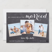 Casamento Rustic Pet Dog Personalizado 3 Foto