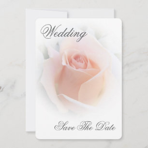 Reserve A Data Casamento Salve A Data Peach Rosa Rosebud