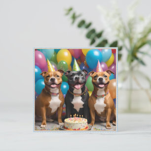 Reserve A Data Celebração Staffy: Uma Festa de aniversário com Bo