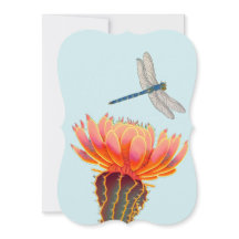 Dragonfly do deserto