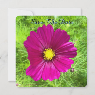 Reserve A Data Edição Mind: Cosmos Save The Date